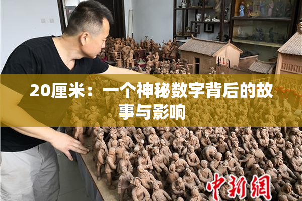 20厘米：一个神秘数字背后的故事与影响