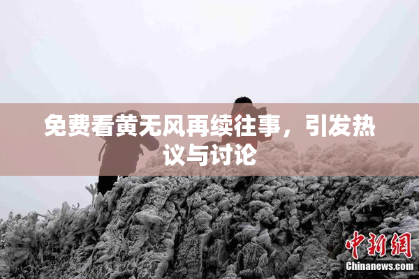 免费看黄无风再续往事，引发热议与讨论
