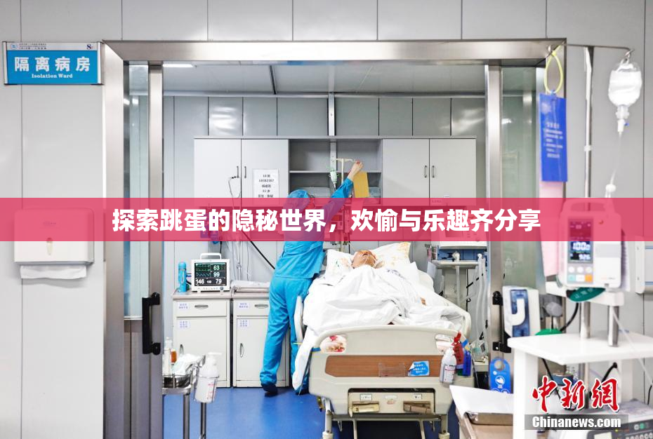 探索跳蛋的隐秘世界，欢愉与乐趣齐分享