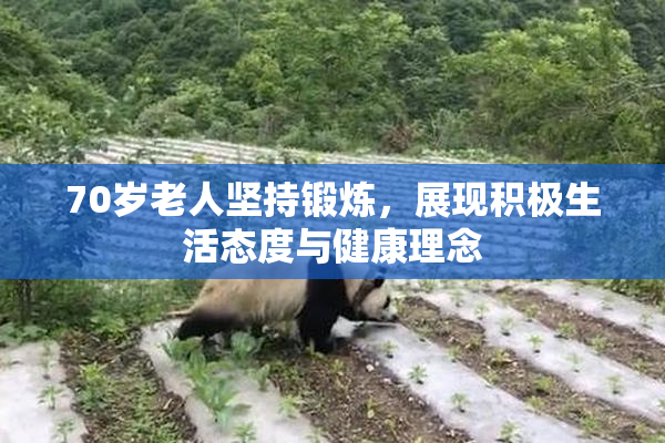 70岁老人坚持锻炼，展现积极生活态度与健康理念