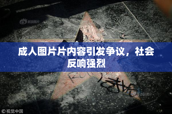 成人图片片内容引发争议，社会反响强烈