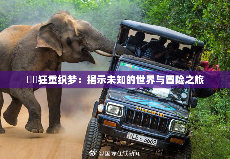❌‌狂重织梦：揭示未知的世界与冒险之旅