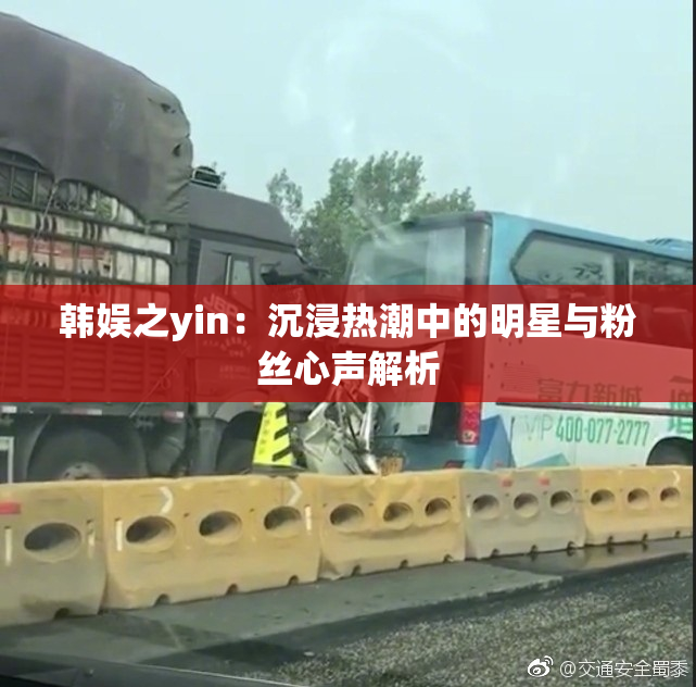 韩娱之yin：沉浸热潮中的明星与粉丝心声解析