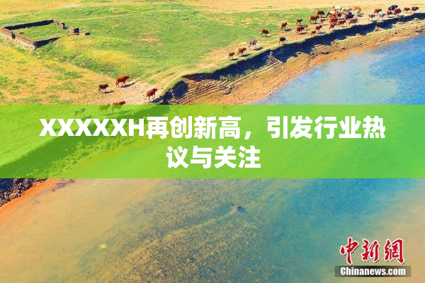 XXXXXH再创新高，引发行业热议与关注