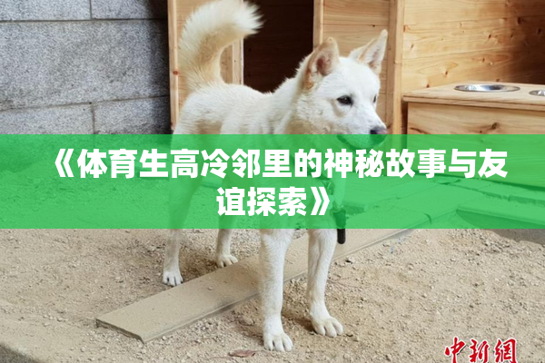 《体育生高冷邻里的神秘故事与友谊探索》