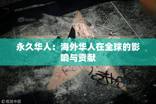 永久华人：海外华人在全球的影响与贡献