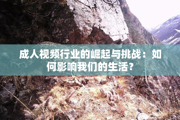 成人视频行业的崛起与挑战：如何影响我们的生活？
