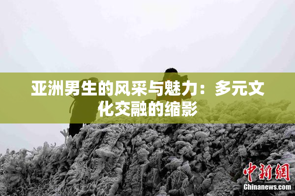 亚洲男生的风采与魅力：多元文化交融的缩影