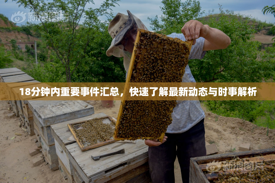 18分钟内重要事件汇总，快速了解最新动态与时事解析