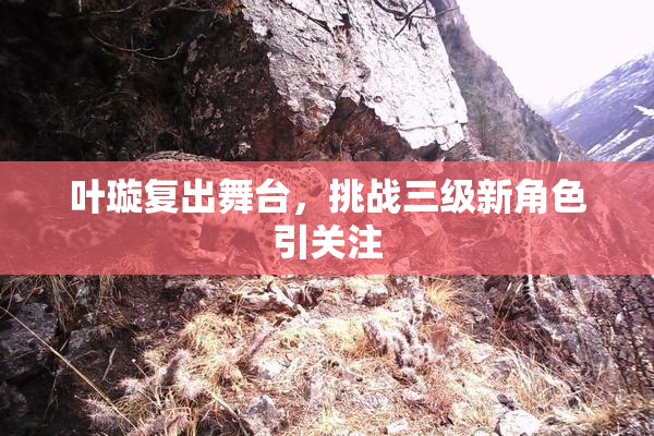 叶璇复出舞台，挑战三级新角色引关注