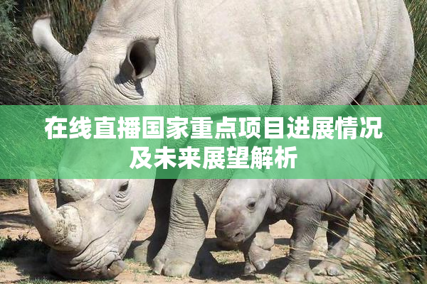 在线直播国家重点项目进展情况及未来展望解析