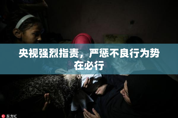央视强烈指责，严惩不良行为势在必行