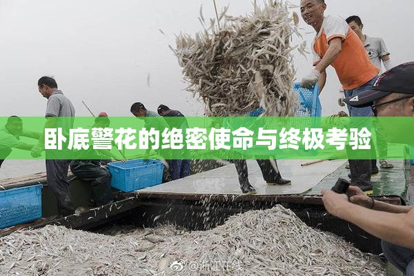 卧底警花的绝密使命与终极考验