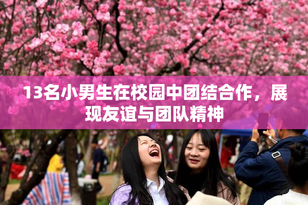 13名小男生在校园中团结合作，展现友谊与团队精神
