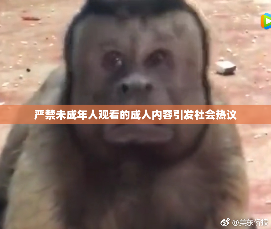 严禁未成年人观看的成人内容引发社会热议