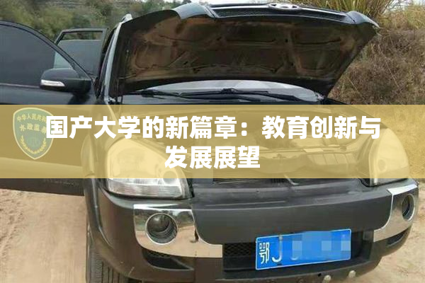 国产大学的新篇章：教育创新与发展展望