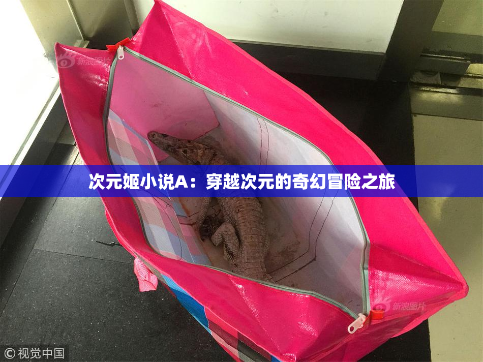 次元姬小说A：穿越次元的奇幻冒险之旅