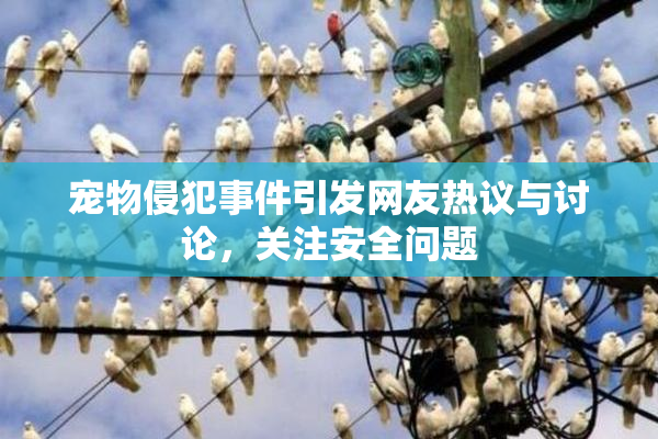 宠物侵犯事件引发网友热议与讨论，关注安全问题