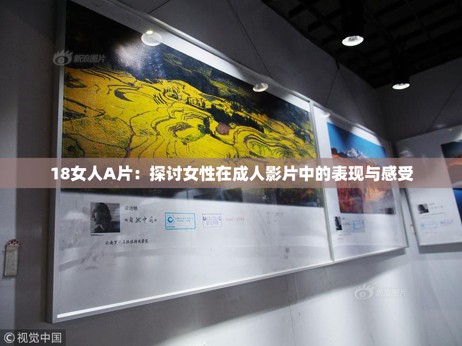 18女人A片：探讨女性在成人影片中的表现与感受