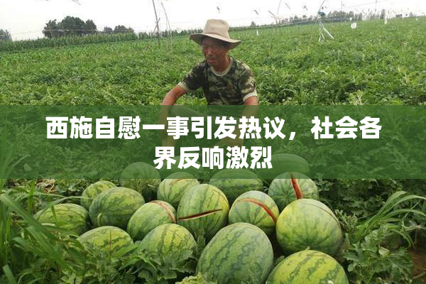 西施自慰一事引发热议，社会各界反响激烈