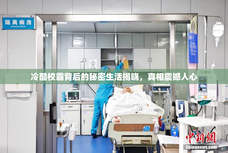 冷酷校霸背后的秘密生活揭晓，真相震撼人心
