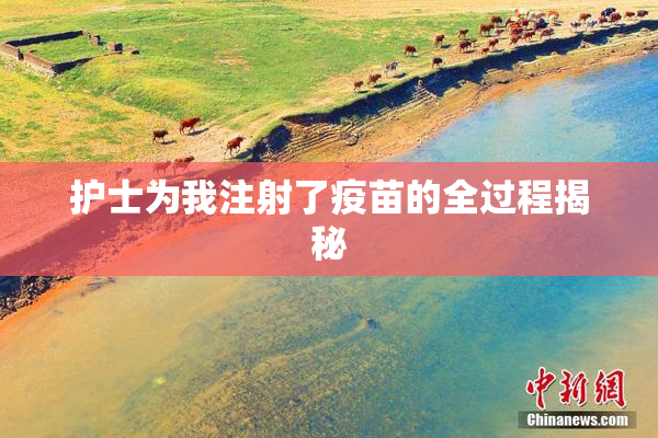 护士为我注射了疫苗的全过程揭秘
