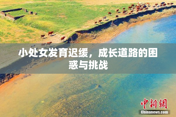 小处女发育迟缓，成长道路的困惑与挑战