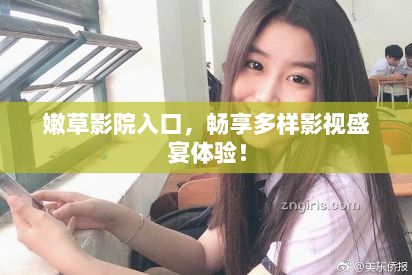 嫩草影院入口，畅享多样影视盛宴体验！