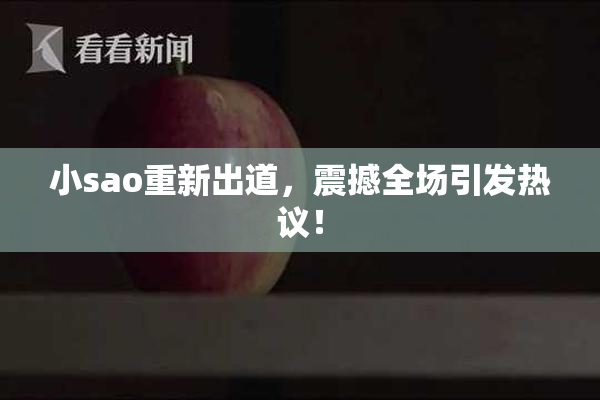 小sao重新出道，震撼全场引发热议！