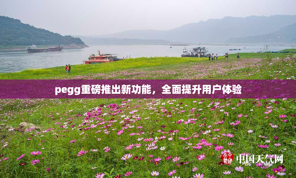 pegg重磅推出新功能，全面提升用户体验