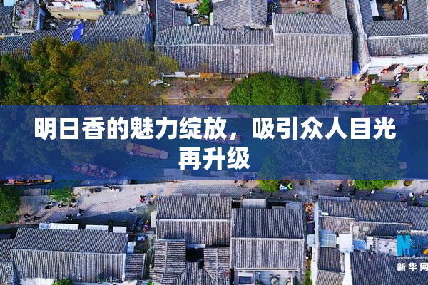 明日香的魅力绽放，吸引众人目光再升级