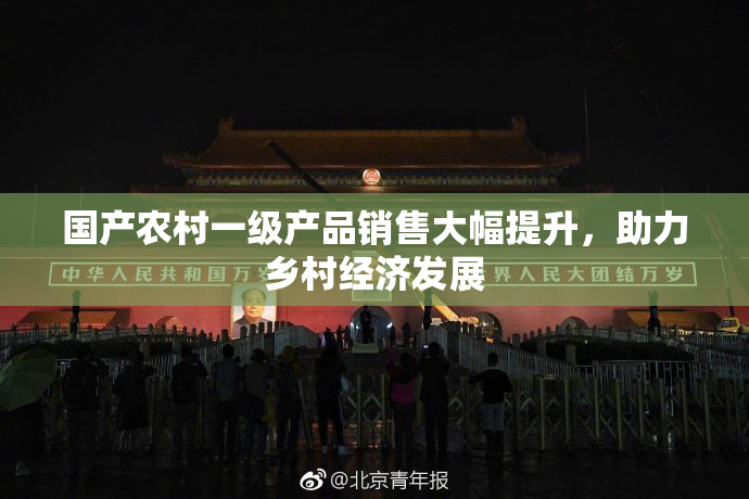 国产农村一级产品销售大幅提升，助力乡村经济发展