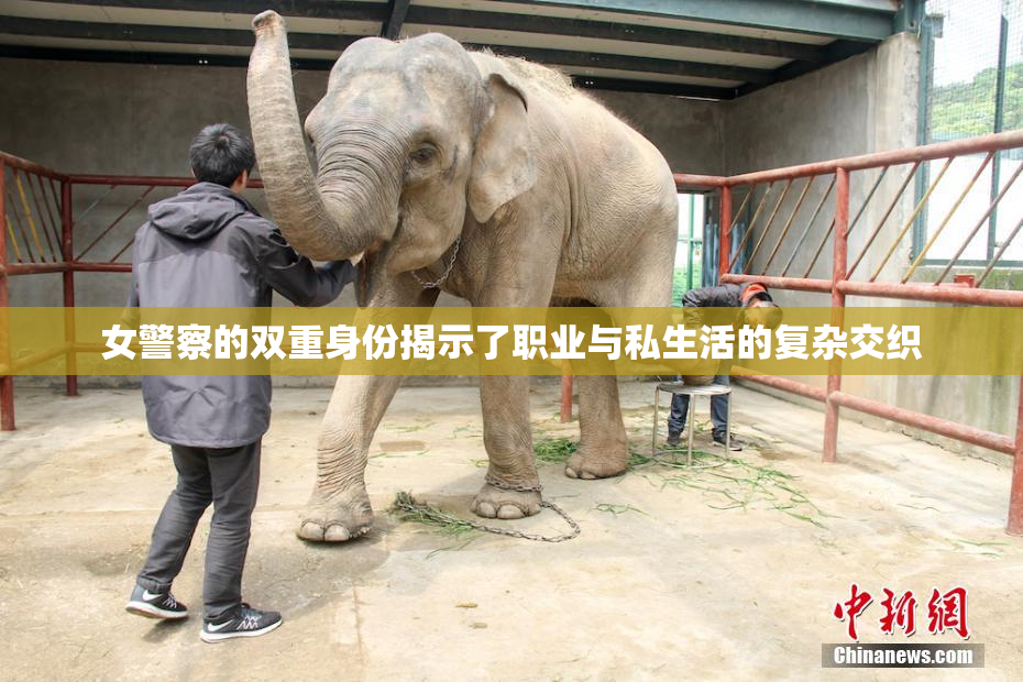 女警察的双重身份揭示了职业与私生活的复杂交织