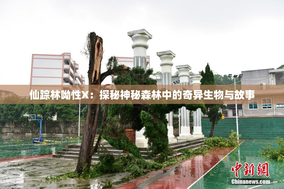 仙踪林呦性X：探秘神秘森林中的奇异生物与故事