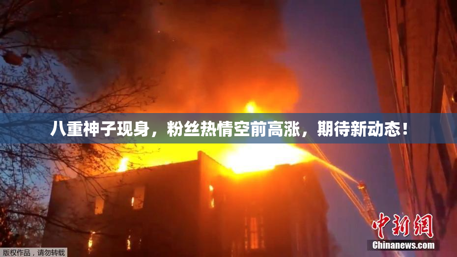 八重神子现身，粉丝热情空前高涨，期待新动态！