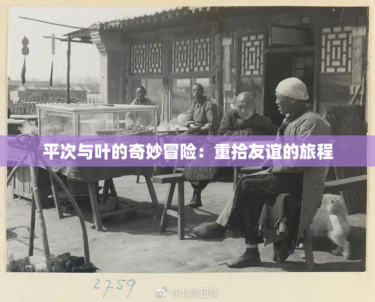 平次与叶的奇妙冒险：重拾友谊的旅程