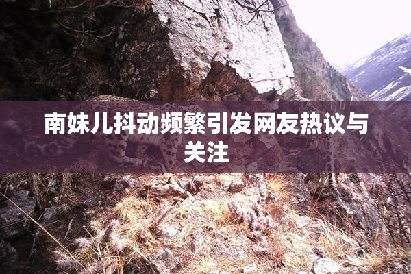 南妹儿抖动频繁引发网友热议与关注