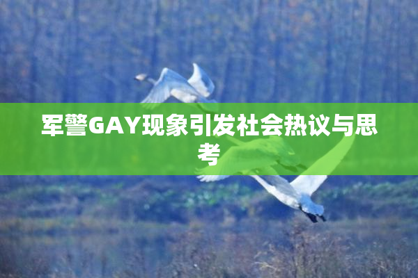 军警GAY现象引发社会热议与思考
