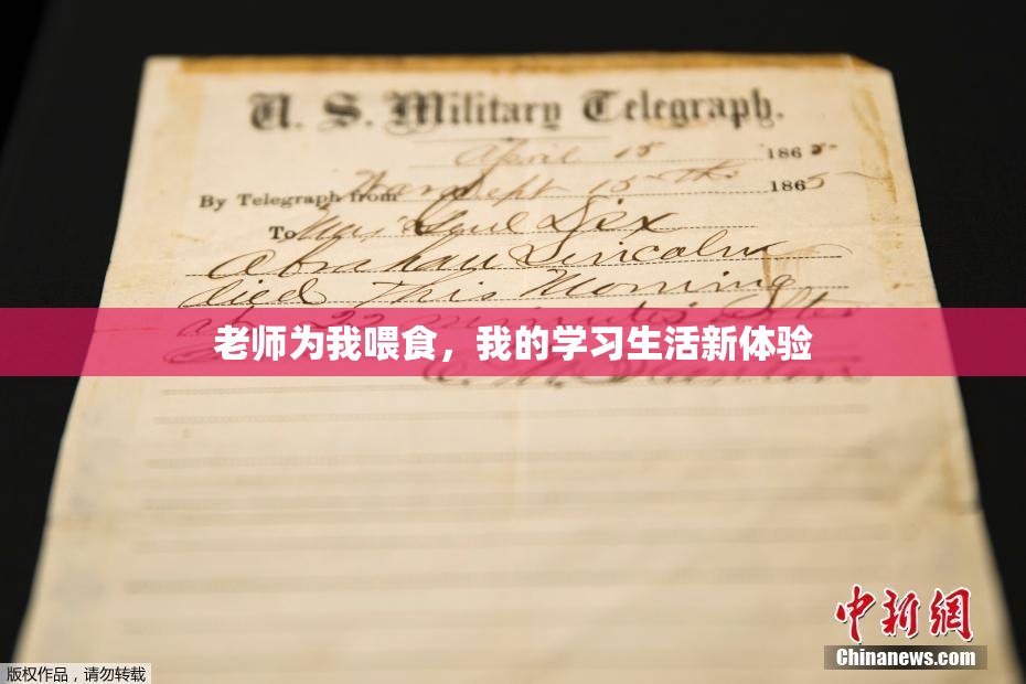 老师为我喂食，我的学习生活新体验