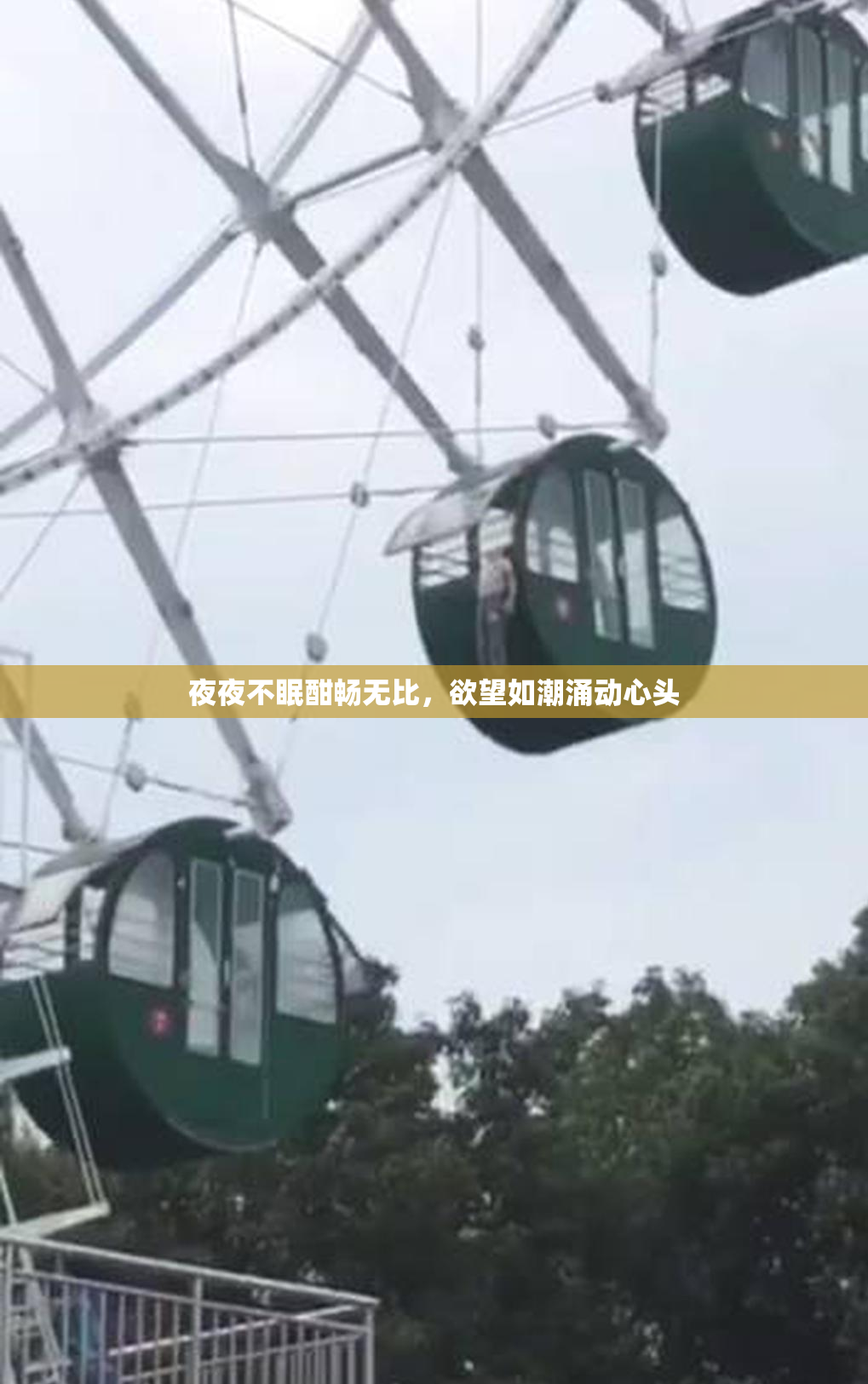 夜夜不眠酣畅无比，欲望如潮涌动心头
