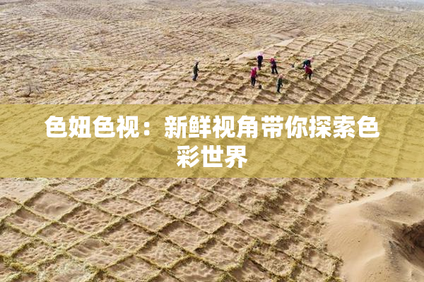 色妞色视：新鲜视角带你探索色彩世界