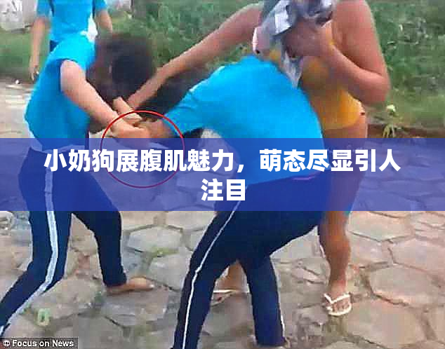 小奶狗展腹肌魅力，萌态尽显引人注目