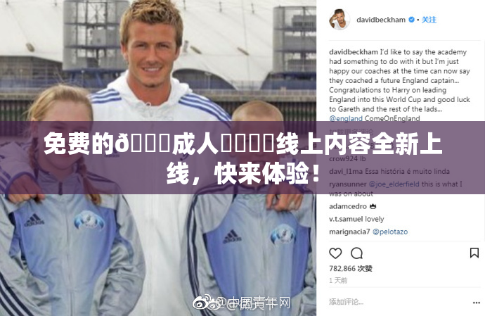 免费的🔞成人❌‌❌‌线上内容全新上线，快来体验！