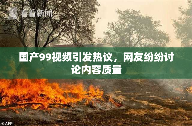 国产99视频引发热议，网友纷纷讨论内容质量