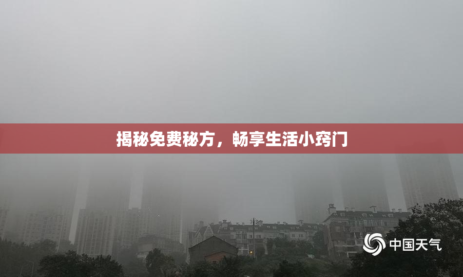 揭秘免费秘方，畅享生活小窍门