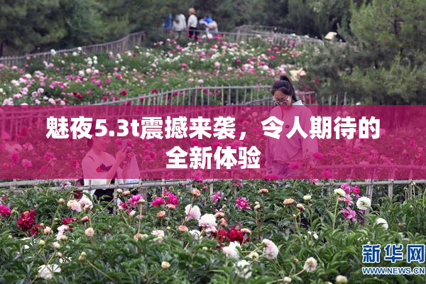 魅夜5.3t震撼来袭，令人期待的全新体验