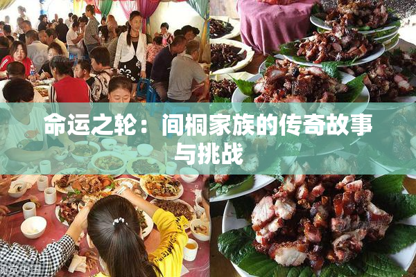 命运之轮：间桐家族的传奇故事与挑战