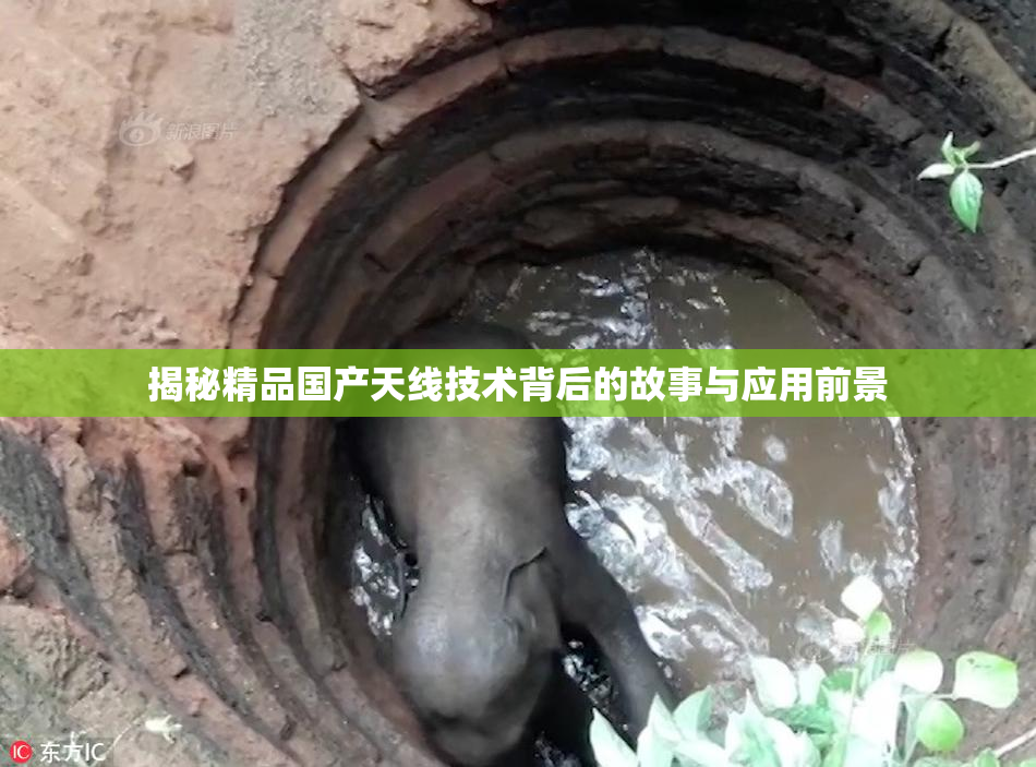 揭秘精品国产天线技术背后的故事与应用前景