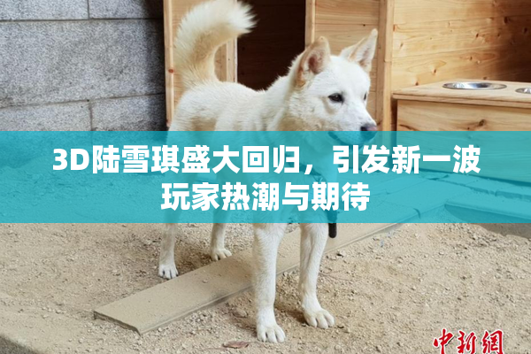 3D陆雪琪盛大回归，引发新一波玩家热潮与期待