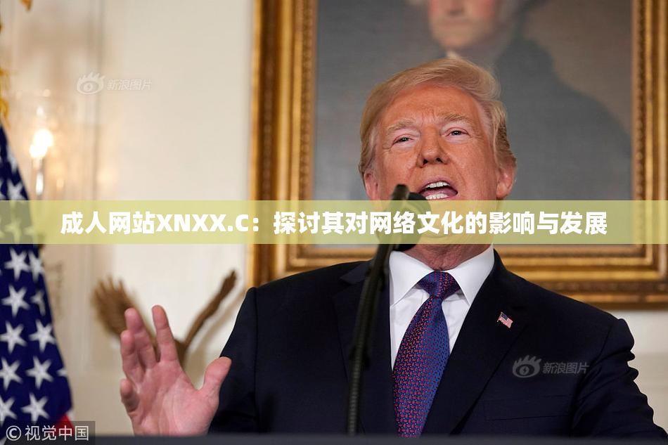 成人网站XNXX.C：探讨其对网络文化的影响与发展